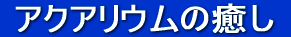 �A�N�A���E��